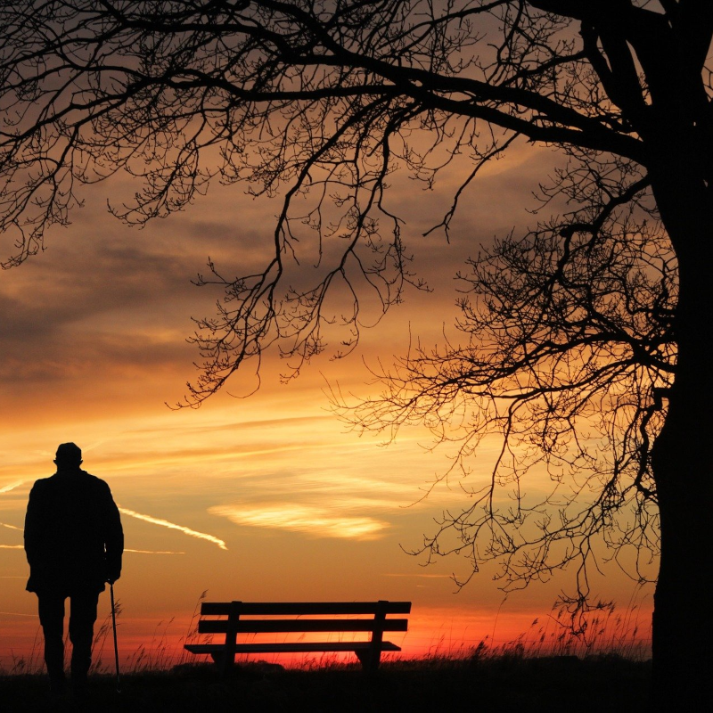 Persoon bij een bankje onder bomen tijdens een kleurrijke zonsondergang.