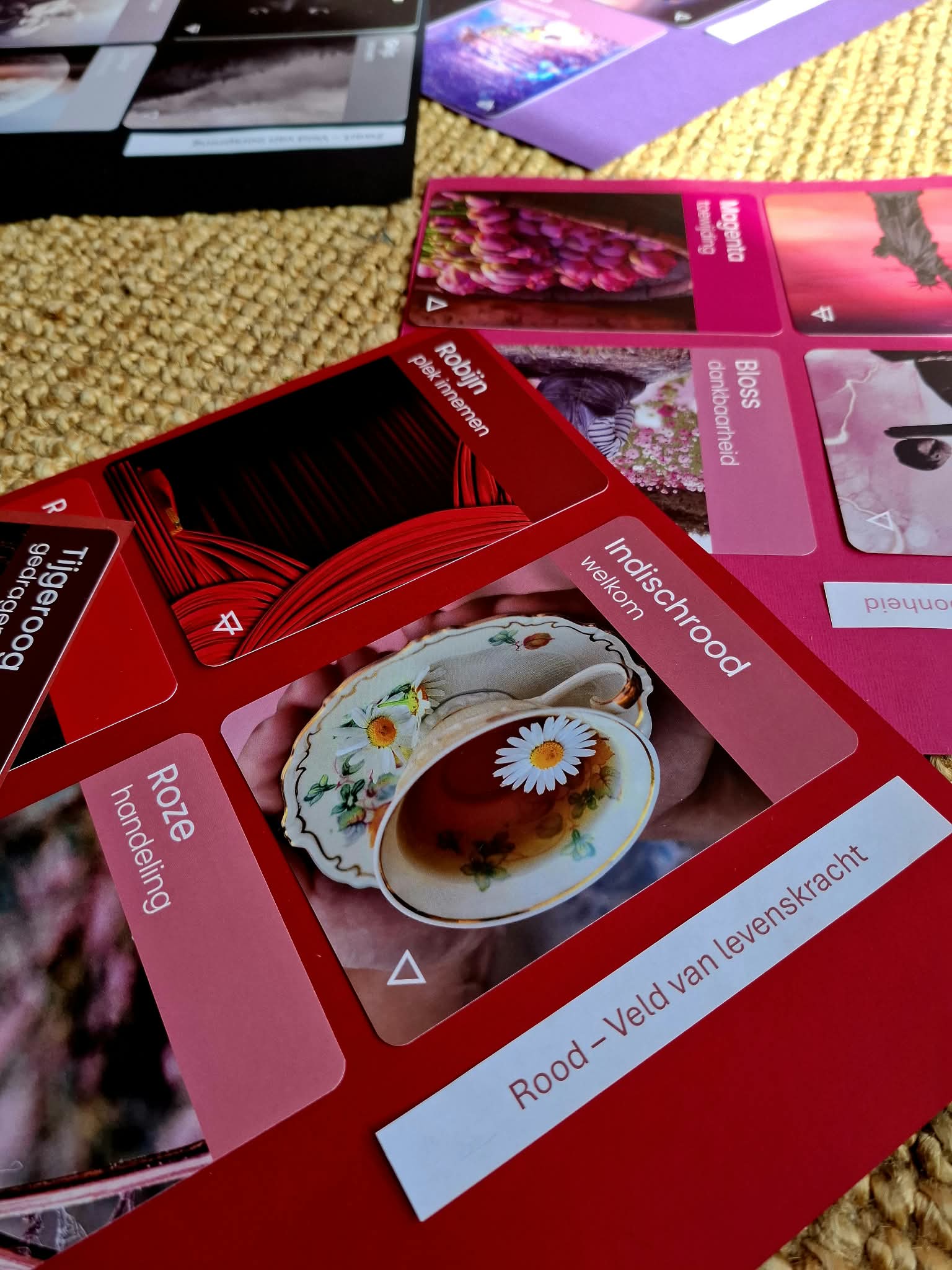 Rood vel met kleurenkaarten